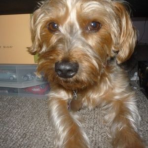 Meet your Posher, Sara